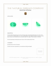 4.26 Ct. Emerald from Colombia Appraisal