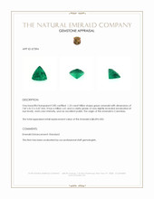 1.25 Ct. Emerald from Colombia Appraisal