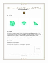 0.89 Ct. Emerald from Colombia Appraisal