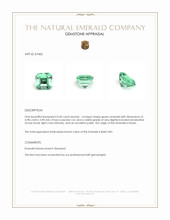 0.60 Ct. Emerald from Russia Appraisal