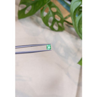 0.51 Ct. Emerald from Russia Life Style