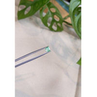 0.65 Ct. Emerald from Russia Life Style