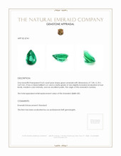 0.65 Ct. Emerald from Zambia Appraisal