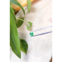 0.68 Ct. Emerald from Russia Life Style