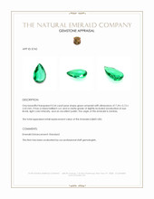 0.54 Ct. Emerald from Zambia Appraisal