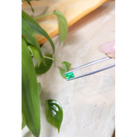 0.71 Ct. Emerald from Russia Life Style