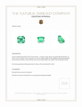 0.85 Ct. Emerald from Russia Appraisal