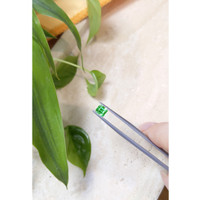 0.85 Ct. Emerald from Russia Life Style