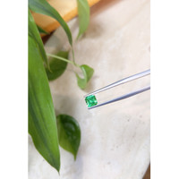 0.71 Ct. Emerald from Russia Life Style