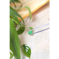 0.71 Ct. Emerald from Russia Life Style