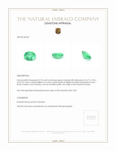 0.70 Ct. Emerald from Russia Appraisal