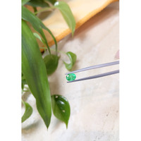 0.70 Ct. Emerald from Russia Life Style