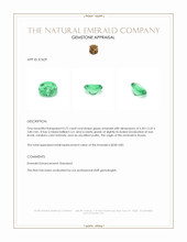0.72 Ct. Emerald from Russia Appraisal
