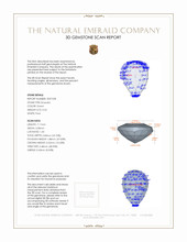 Jewelry 3 D Scan Report