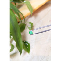 0.54 Ct. Emerald from Russia Life Style