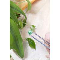 0.94 Ct. Emerald from Russia Life Style