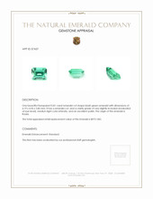 0.81 Ct. Emerald from Russia Appraisal