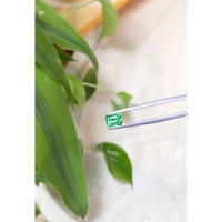 0.81 Ct. Emerald from Russia Life Style