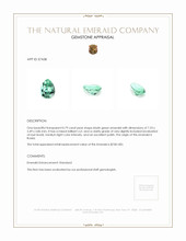 0.79 Ct. Emerald from Russia Appraisal