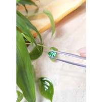 0.79 Ct. Emerald from Russia Life Style