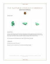 0.79 Ct. Emerald from Russia Appraisal