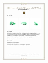 0.66 Ct. Emerald from Russia Appraisal