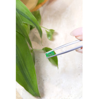 0.81 Ct. Emerald from Russia Life Style