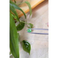 0.78 Ct. Emerald from Russia Life Style