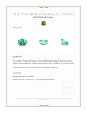 0.82 Ct. Emerald from Russia Appraisal