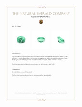 0.82 Ct. Emerald from Russia Appraisal