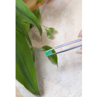 0.76 Ct. Emerald from Russia Life Style