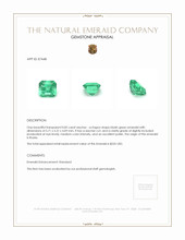 0.82 Ct. Emerald from Russia Appraisal