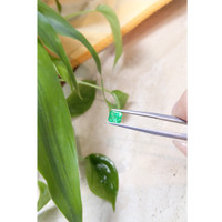 0.82 Ct. Emerald from Russia Life Style