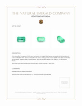 0.82 Ct. Emerald from Russia Appraisal