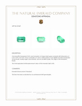 0.82 Ct. Emerald from Russia Appraisal