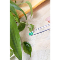 0.82 Ct. Emerald from Russia Life Style