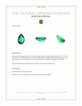 0.60 Ct. Emerald from Zambia Appraisal