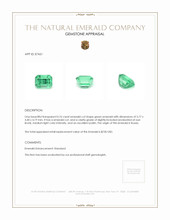 0.76 Ct. Emerald from Russia Appraisal