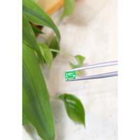 0.76 Ct. Emerald from Russia Life Style
