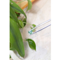 0.96 Ct. Emerald from Russia Life Style