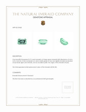 0.79 Ct. Emerald from Russia Appraisal