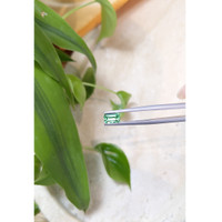 0.79 Ct. Emerald from Russia Life Style