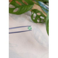 0.90 Ct. Emerald from Russia Life Style