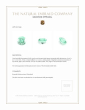 0.89 Ct. Emerald from Russia Appraisal