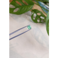 0.89 Ct. Emerald from Russia Life Style