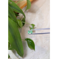 0.85 Ct. Emerald from Russia Life Style