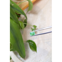 0.84 Ct. Emerald from Russia Life Style