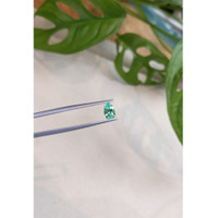 0.88 Ct. Emerald from Russia Life Style