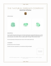 0.84 Ct. Emerald from Russia Appraisal