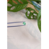 0.84 Ct. Emerald from Russia Life Style